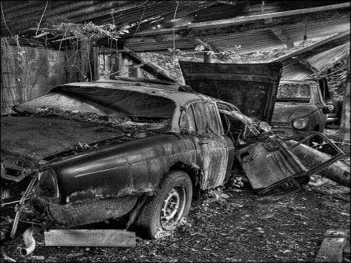 Barn Find