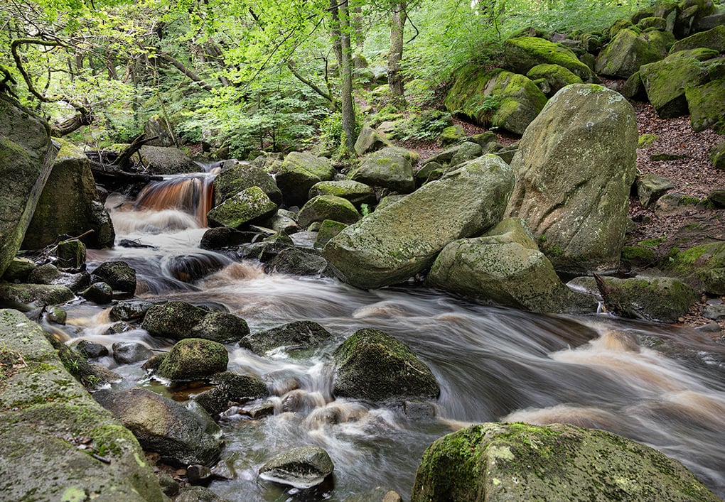 3rd Barry Whitmore - Padley Gorge
