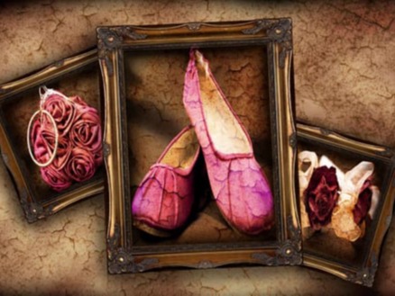 Paul Fradley's Gallery
