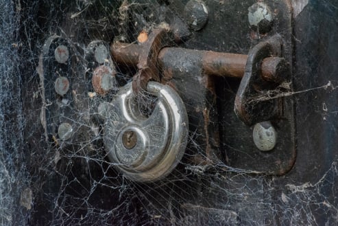 Cobweb on Lock