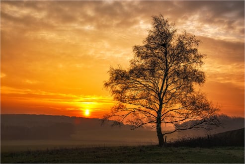 Day Break
