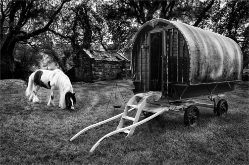 Gypsy Romany
