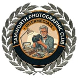 icon portraying a intermediate photographer