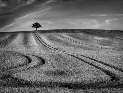 Adrian Moore's Gallery