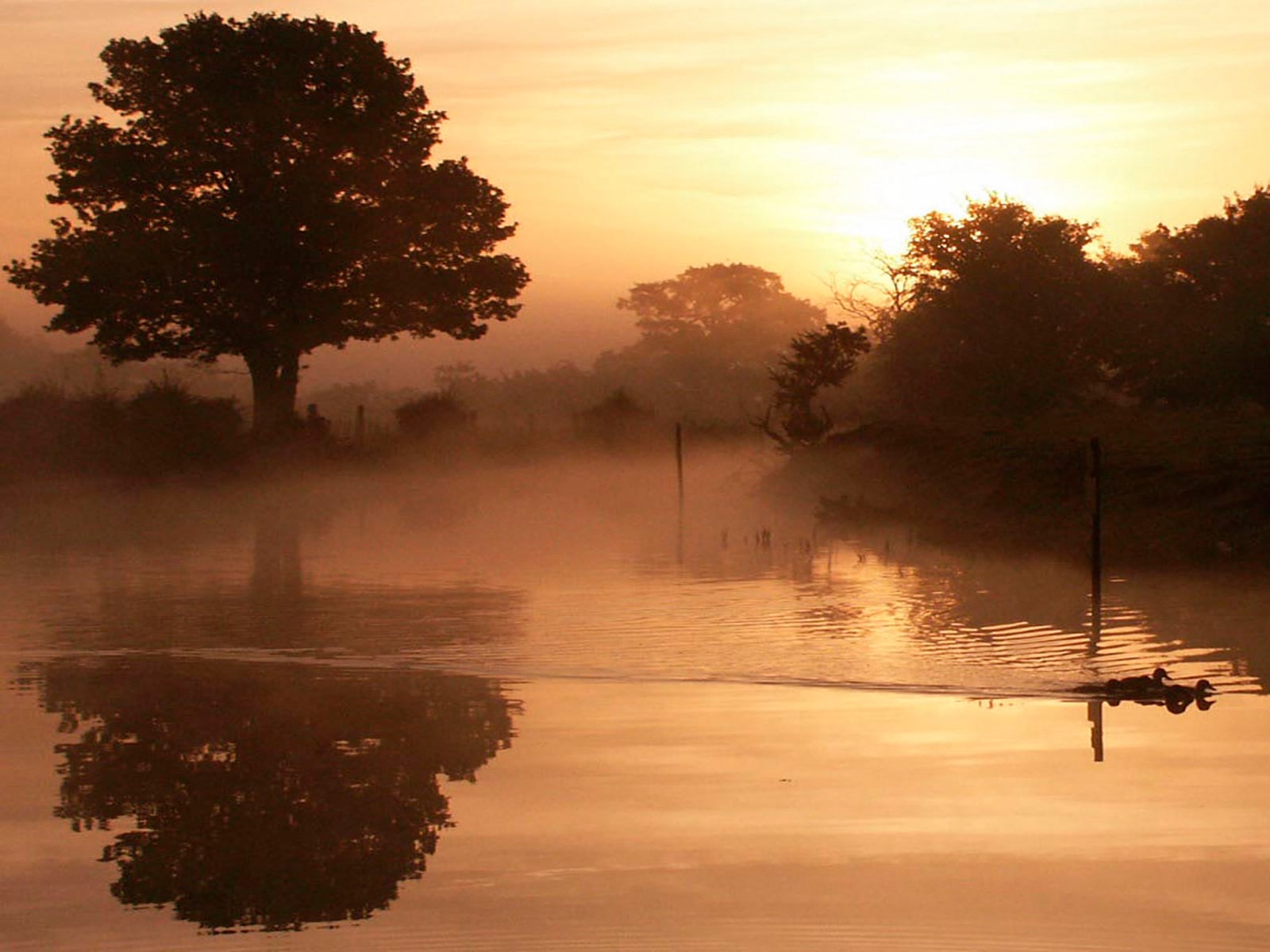 Misty Canal