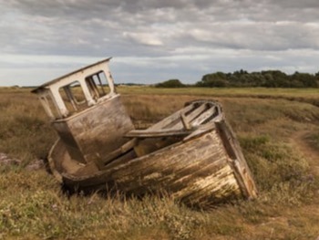 Trevor Brown's Gallery