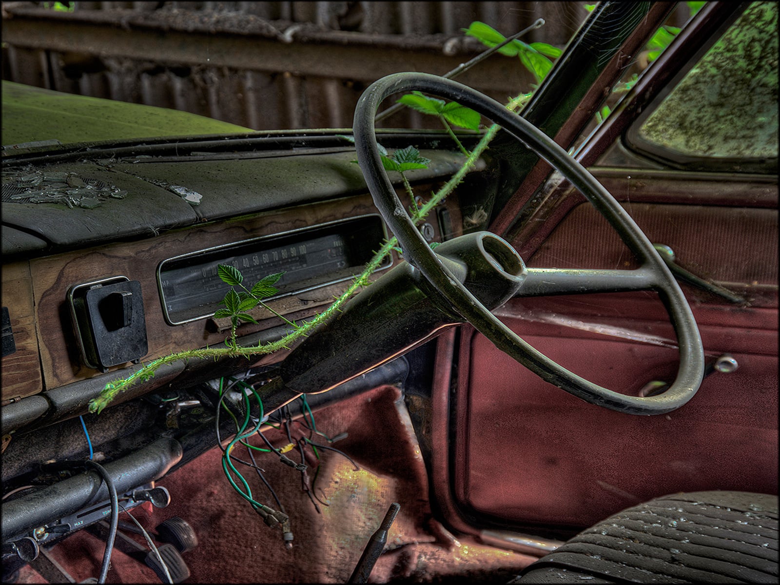 Old Steering Wheel