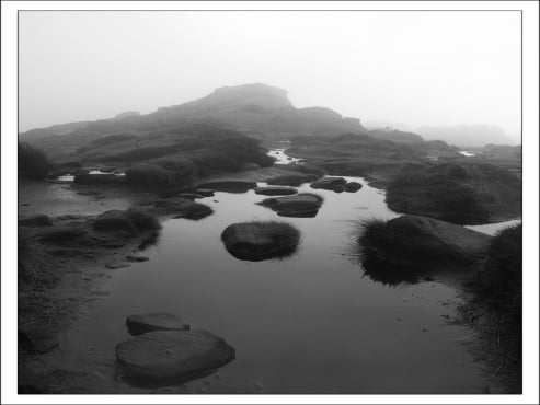 Puddle on a Misty Hill