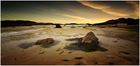 Seaweed and Sand