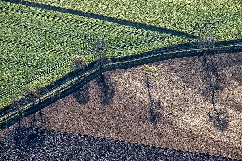 Shadowlands