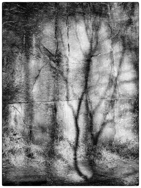 Shadowlands