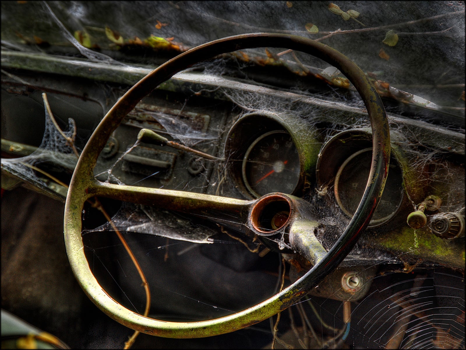 Steering Wheel