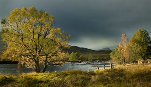 Tayside